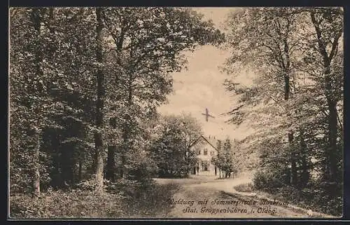 AK Grüppenbühren i. Oldbg., Waldweg mit Gasthaus Hasbruch