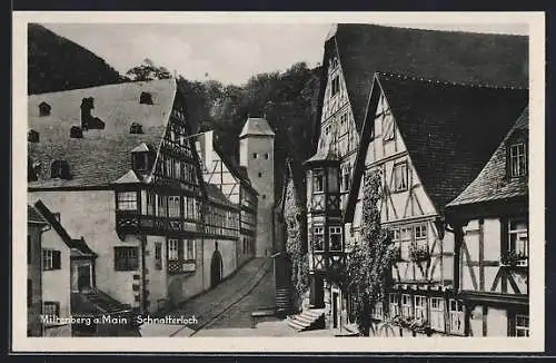 AK Miltenberg, Schnatterloch