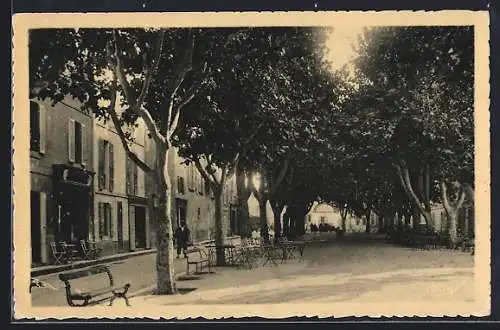 AK Istres, Cours Jean Jaurès avec arbres et terrasses