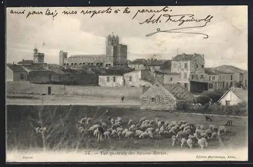 AK Saintes-Maries, Vue générale avec troupeau de moutons et église fortifiée du Xe siècle