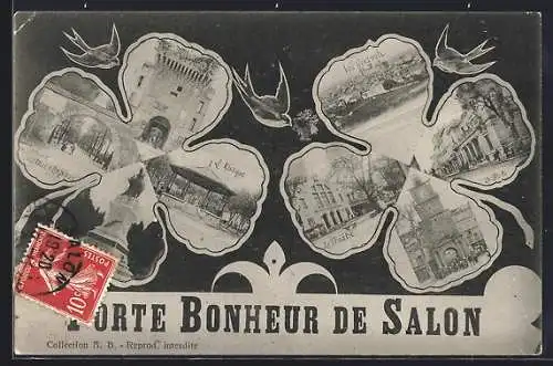 AK Salon-de-Provence, Porte Bonheur avec vues de la ville et hirondelles en vol