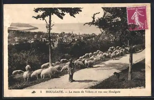 AK Houlgate, La route de Villers et vue sur Houlgate