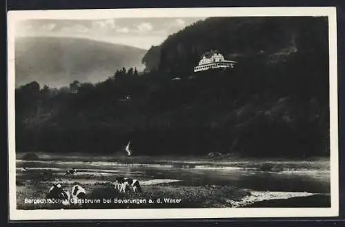 AK Carlsbrunn / Weser, Konditorei und Cafe Bergschlösschen mit Kühen