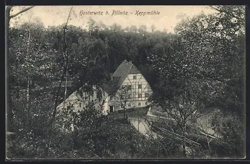 AK Hosterwitz /Pillnitz, Gasthaus Keppmühle aus der Vogelschau