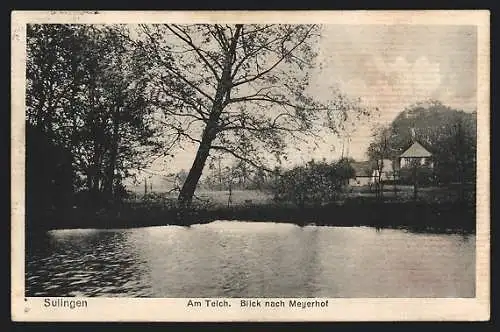 AK Sulingen, Am Teich, Blick nach Meyerhof