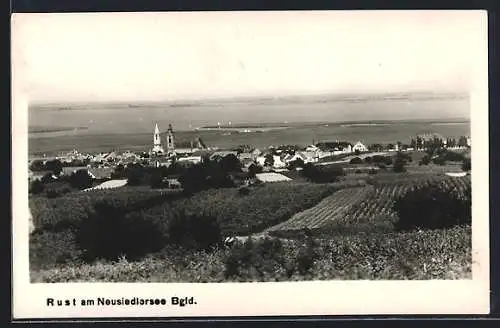 AK Rust am Neusiedlersee, Teilansicht mit Kirche