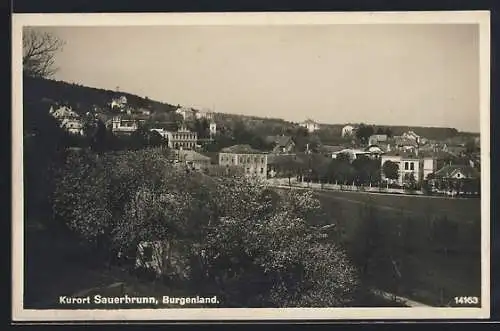 AK Sauerbrunn /Burgenland, Teilansicht zur Zeit der Baumblüte