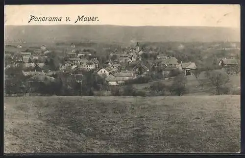 AK Mauer, Panoramablick auf den Ort