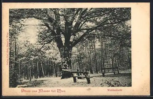 AK Mauer bei Wien, Waldandacht