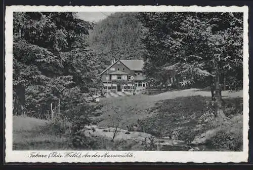 AK Tabarz /Thür. Wald, An der Massenmühle