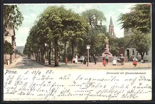 AK Pirna, Promenade mit Bismarckdenkmal