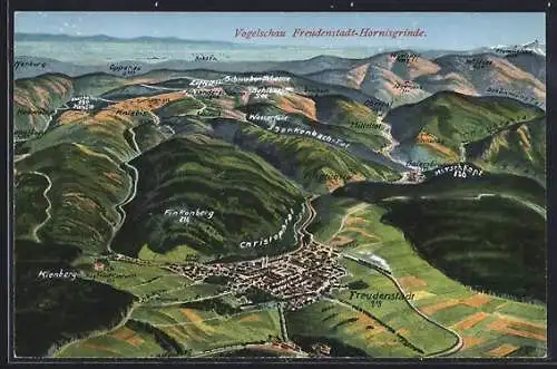 Künstler-AK Freudenstadt-Hornisgrinde, Ortsansicht mit Kienberg, Finkenberg und Christophtal