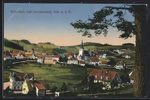 AK Schonach /Bad. Schwarzwald, Teilansicht mit Kirche