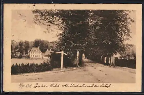 AK Göhrde / Dahlenburg, Alte Lindenallee nach dem Schloss im Jagdrevier