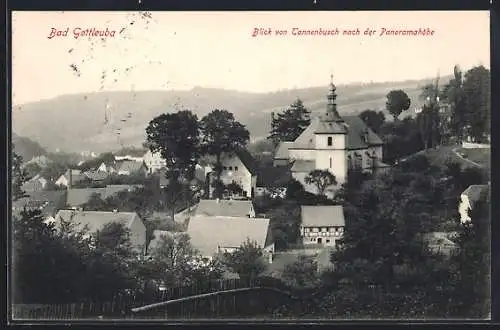 AK Bad Gottleuba, Blick von Tannenbusch nach der Panoramahöhe