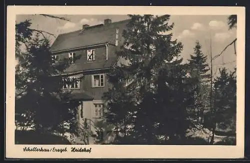 AK Schellerhau /Erzgeb., Hotel Heidehof