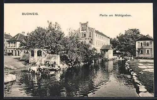 AK Budweis / Ceske Budejovice, Partie na mlynske stoce, Pferdewagen im Wasser