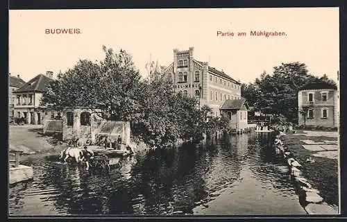 AK Budweis / Ceske Budejovice, Partie na mlynske stoce, Pferdewagen im Wasser