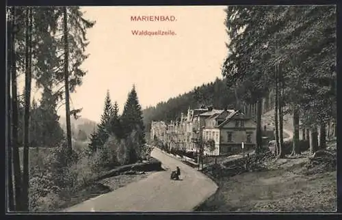 AK Marienbad, Strassenpartie an der Waldquellenzeile