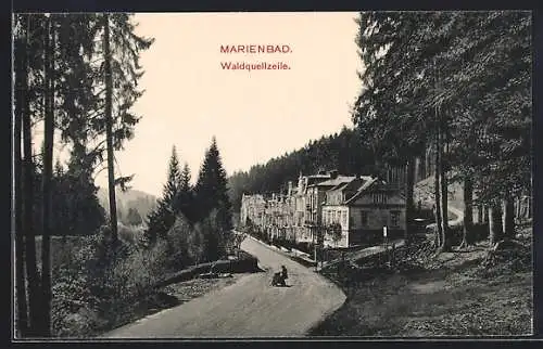 AK Marienbad, Strassenpartie an der Waldquellenzeile