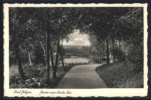 AK Bad Polzin, Waldpartie am See