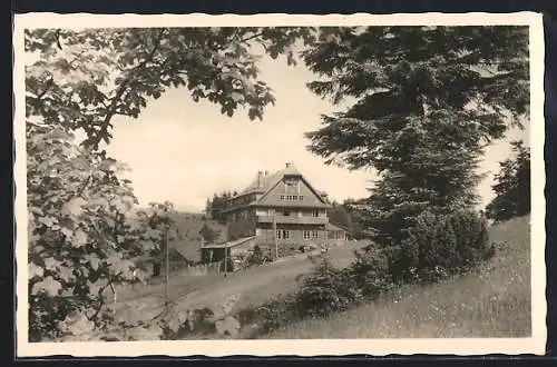 AK Neu-Traubendorf i. d. Wallachei, Berghotel Portasch