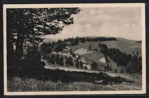 AK Neu-Traubendorf i. d. Wallachei, Blick zum Berghotel Portasch