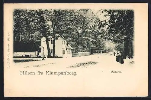 AK Klampenborg, Dyrhaven, Strassenpartie