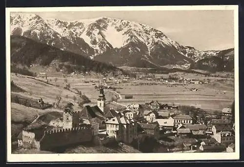 AK Puchberg am Schneeberg, Teilansicht aus der Vogelschau