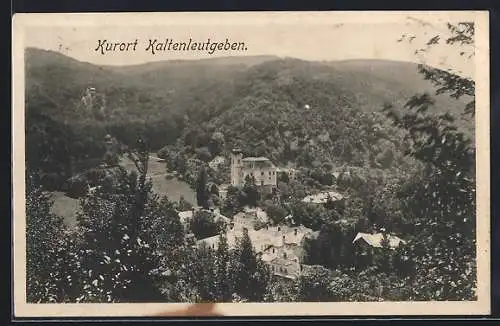 AK Kaltenleutgeben, Teilansicht aus der Vogelschau