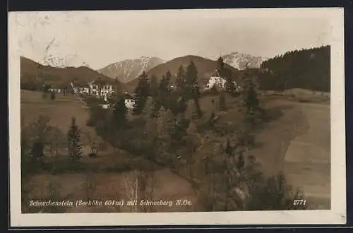 AK Scheuchenstein, Ansicht mit dem Schneeberg