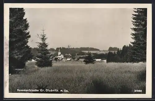 AK Zwettl /N.-Oe., Grossglobnitz vom Wald aus