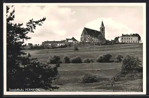 AK Pernegg /N.-Oe., Ortsansicht mit der Kirche