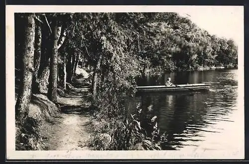 AK Litschau /N. Oe., Teichpromenade mit Ruderer