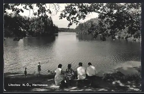 AK Litschau /N. Ö., Partie am Herrensee