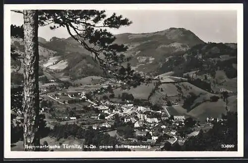 AK Türnitz /N.-Do., Ortsansicht gegen Schwarzenberg