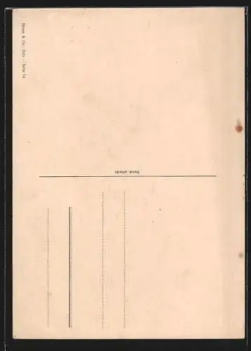 AK Norwegerin in der Tracht von Vestfold