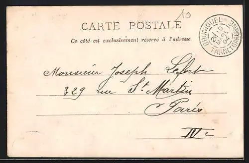 AK Bruniquel, Vue générale du village