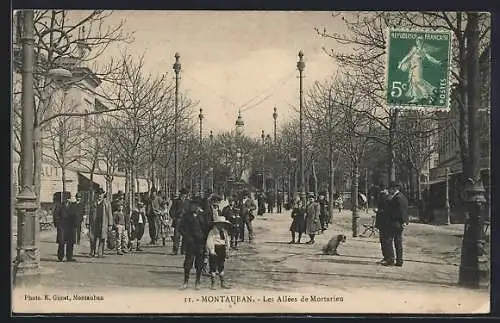 AK Montauban, Les Allées de Mortarieu avec passants et arbres