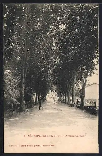 AK Nègrepelisse, Avenue Carnot avec arbres alignés