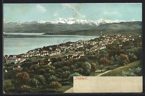 AK Thalwil, Panorama