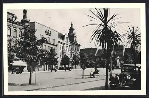 AK Benesov, Namesti, Palmen