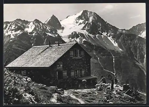 AK Windgällenhütte, Berghütte mit Oberalpstock, Bauern mit Ziegen und Kühen