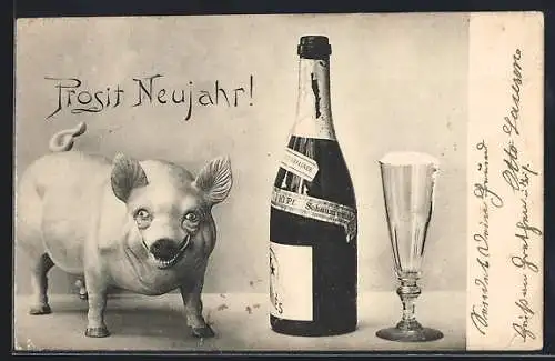 AK Schwein zieht eine Grimasse neben einer Flasche Schaumwein