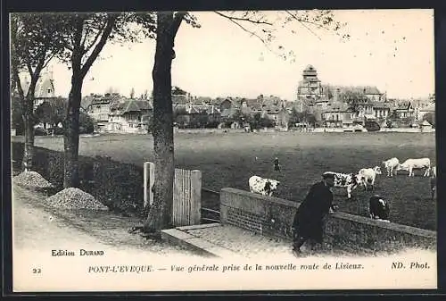 AK Pont-l`Évêque, Vue générale prise de la nouvelle route de Lisieux