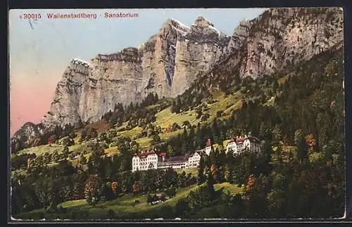 AK Wallenstadtberg, Sanatorium mit Bergpanorama