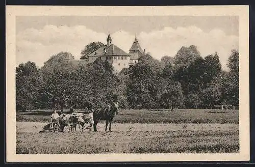 AK Kyburg, Schloss Kyburg, Ortsansicht mit pflügendem Bauer, Pferde- u. Ochsen-Gespann