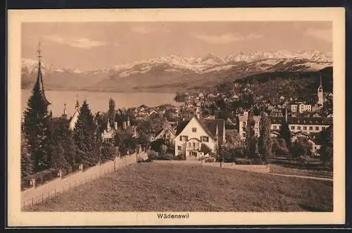 AK Wädenswil, Ortsansicht mit See und Bergpanorama aus der Vogelschau