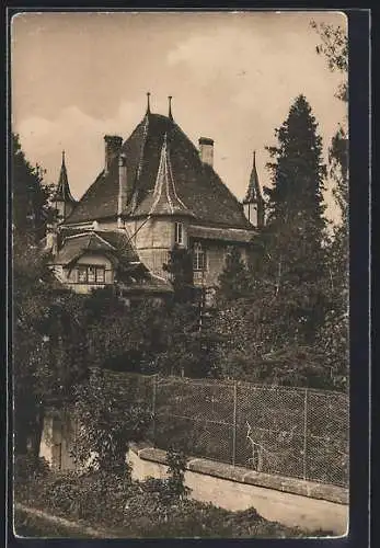 AK Alt-Bern, Schloss Hollingen