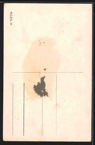 AK Oldenburg i. Oldbg., Strassenpartie mit Lappan